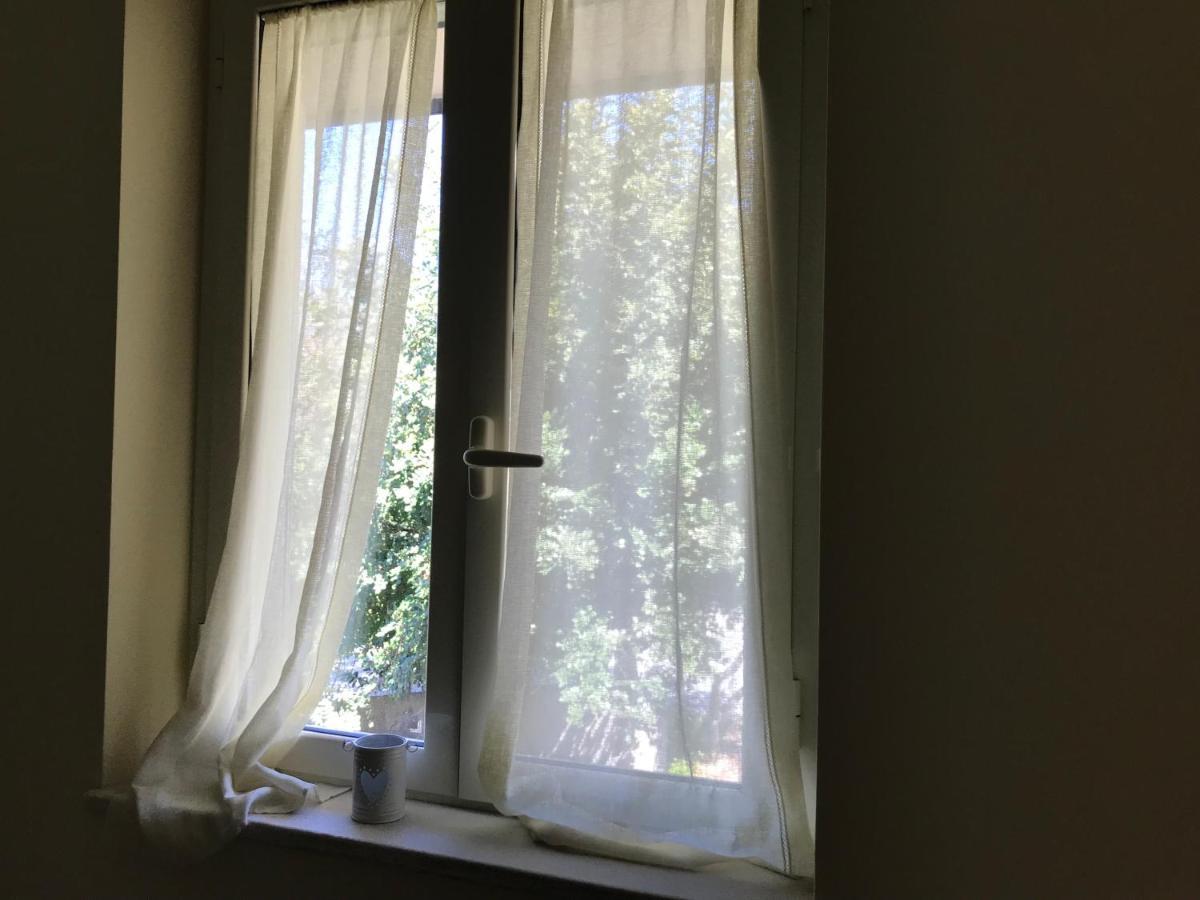 B&B Villa Degli Ulivi Praia a Mare Εξωτερικό φωτογραφία