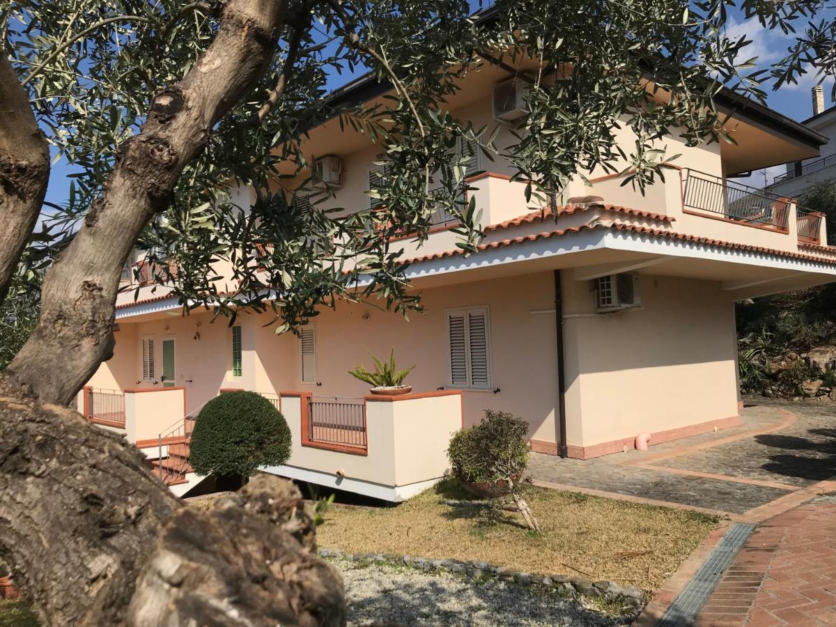 B&B Villa Degli Ulivi Praia a Mare Εξωτερικό φωτογραφία