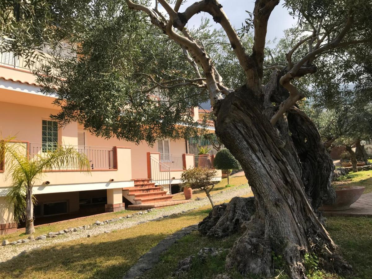 B&B Villa Degli Ulivi Praia a Mare Εξωτερικό φωτογραφία