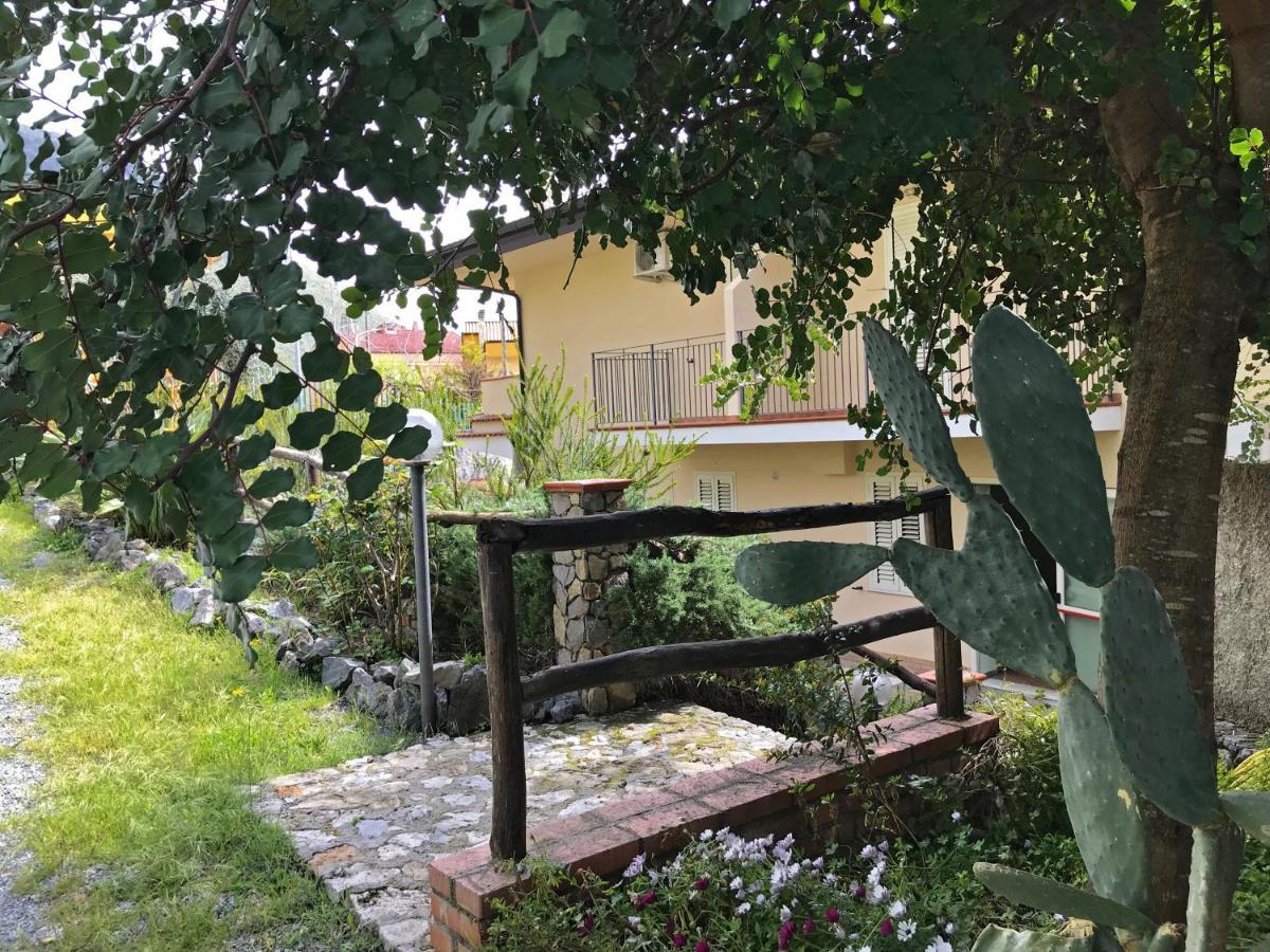 B&B Villa Degli Ulivi Praia a Mare Εξωτερικό φωτογραφία