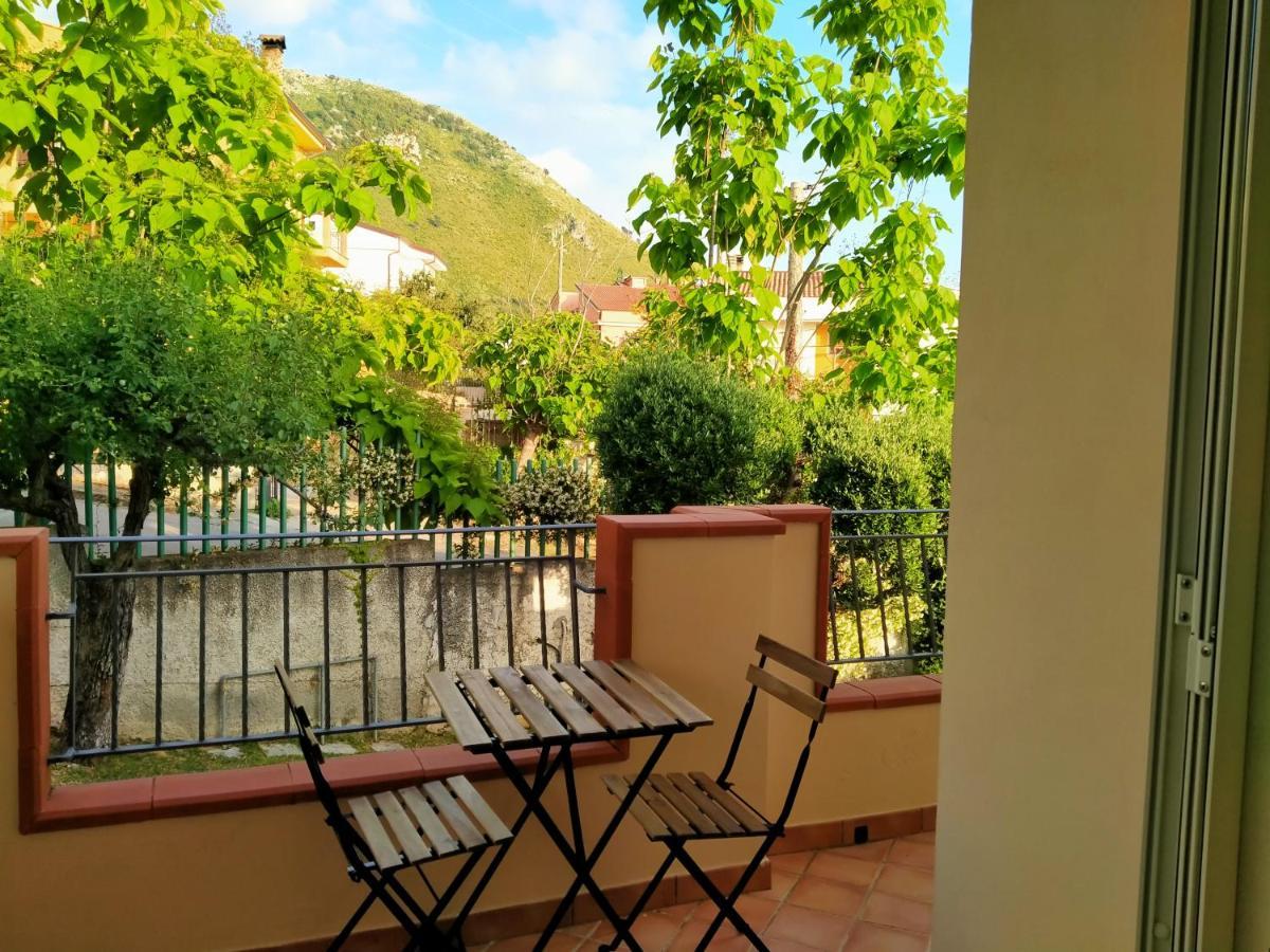 B&B Villa Degli Ulivi Praia a Mare Εξωτερικό φωτογραφία