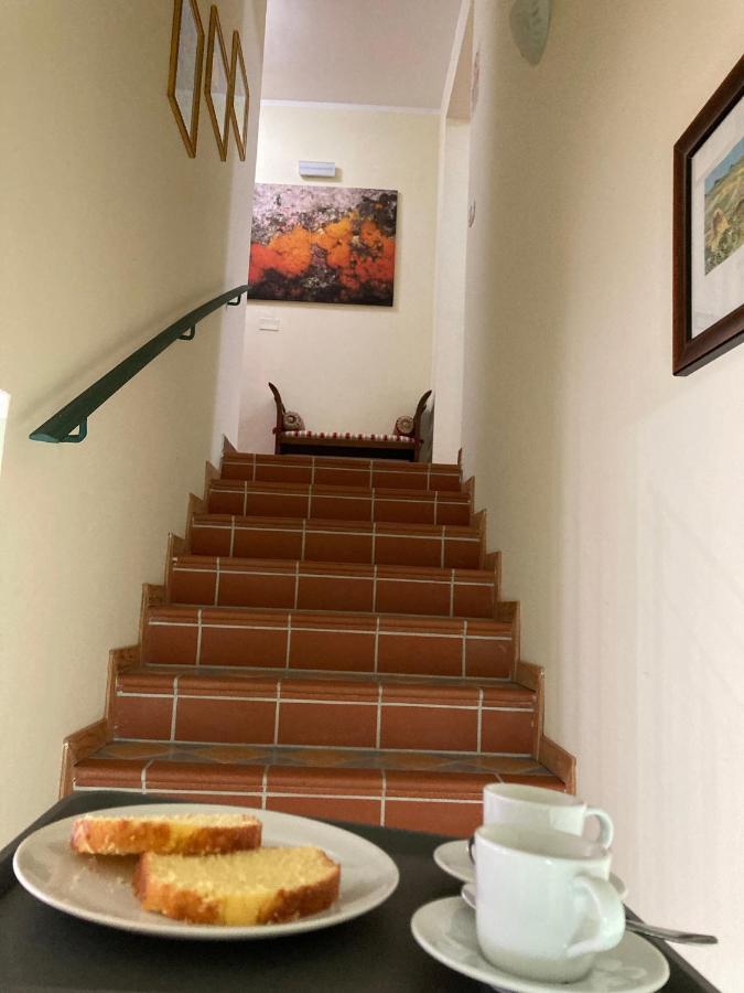 B&B Villa Degli Ulivi Praia a Mare Εξωτερικό φωτογραφία